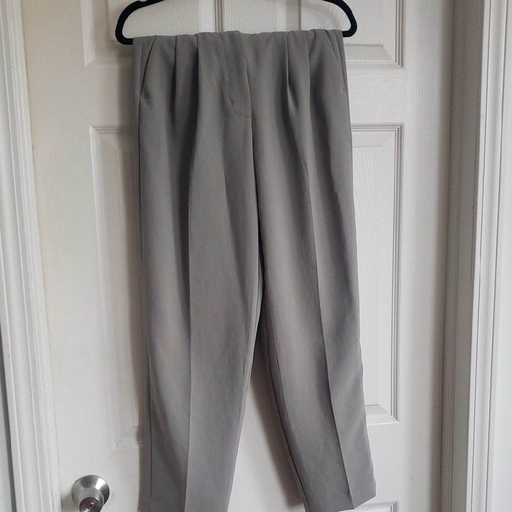 Wilfred Pale Green Pleated Dress Pants Size 2